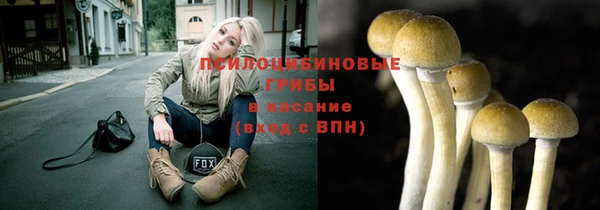 скорость Бородино