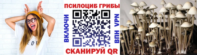 darknet Telegram  Миньяр  Галлюциногенные грибы мухоморы 